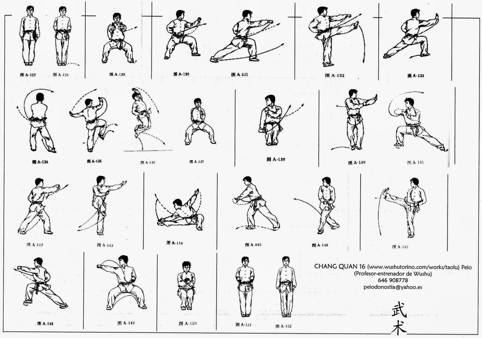 Wushu basic training pdf